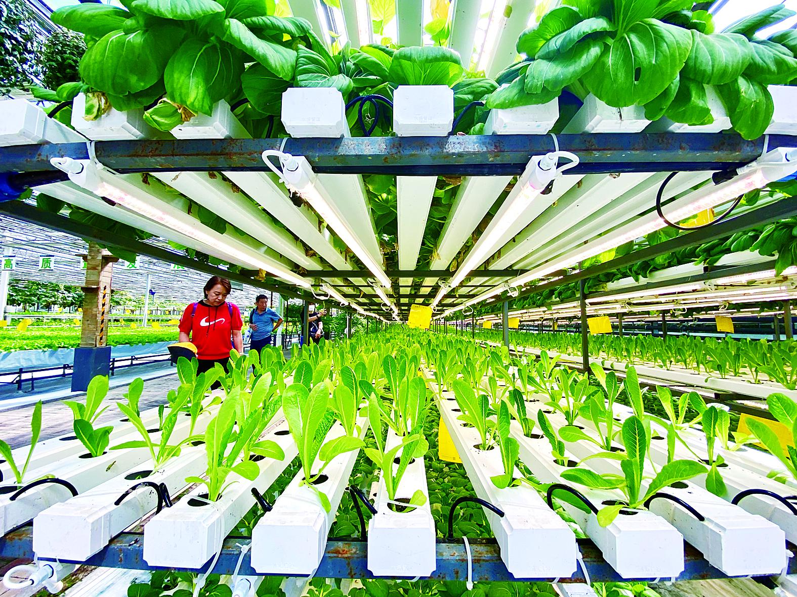 宁波市苗床种植槽 - 方案