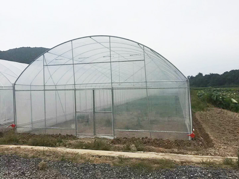 宁波市薄膜大棚无土栽培 - 方案